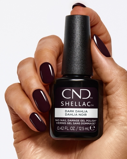 DARK DAHLIA DARK DAHLIA